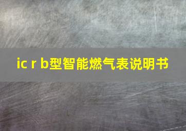 ic r b型智能燃气表说明书